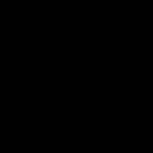 Meet your Posher, Gracie